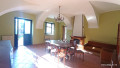Dettaglio